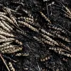 Українська пшениця у вогні
