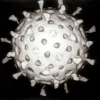 Чому антибіотики не лікують коронавірус? 