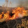 ​Влада готує компенсації тим, хто втратив майно через пожежі на Житомирщині – Володимир Зеленський