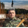 ​Від 5 євро «відкату» за кубометр: головного лісівника Тернопільщини звинувачують у незаконних вирубках