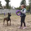Собаче диско: турнір з Dog Puller пройшов у Дніпрі Собаче диско: турнір з Dog Puller пройшов у Дніпрі