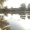 ​У системному забрудненні озера Курячого підозрюють одного з чиновників “Дніпроводоканалу”