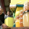 ​Бджолиний стартап: п’ятірка сміливців почала свій бізнес у селі