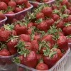 В Україні почали знижуватися ціни на полуницю