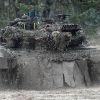 ​На східному фланзі НАТО хочуть відновлювати бороти для захисту від Росії та змін клімату