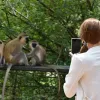 Чим фото туристів допомагають тваринам?