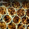 Скеровано до суду: буковинець відповідатиме за спробу збуту партії контрафактних цигарок на пів мільйона гривень