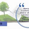 На Херсонщині прокуратура в судовому порядку вимагає забезпечення особливого режиму охоронної зони Чорноморського біосферного заповідника На Херсонщині прокуратура в судовому порядку вимагає забезпечення особливого режиму охоронної зони Чорноморського біосферного заповідника
