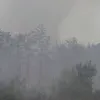 Під Києвом після ворожих обстрілів згоріло 10 гектарів лісу