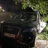 ​В Киеве пьяная судья за рулем Audi едва не убила прохожих и потом чуть не утонула в реке