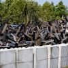 ​Латвія відновить болотні екосистеми для захисту від РФ