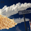 Люди проти зерна: страх перед роботою зернового підприємства змусив мешканців Требухова шукати допомоги в поліції Люди проти зерна: страх перед роботою зернового підприємства змусив мешканців Требухова шукати допомоги в поліції
