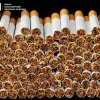 За 20 тисяч пачок контрафактних цигарок судитимуть жителя Закарпаття