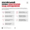 Журналісти отримали документ зі стратегією дій росії в Молдові до 2030 року