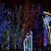 ​Дніпро: як прикрасили новорічний сквер Героїв?