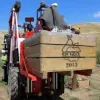 Роботів залучать для збирання врожаю яблук в США