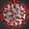 Повторне зараження коронавірусом
