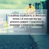 Службова недбалість зі збитками понад 1,8 млн грн під час ремонту дороги – судитимуть інженера з технічного нагляду Службова недбалість зі збитками понад 1,8 млн грн під час ремонту дороги – судитимуть інженера з технічного нагляду