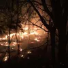 ​На Дніпропетровщині гасили пожежу, яка пошкодила 8 га лісу