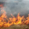 На Дніпропетровщині оголошена надзвичайна пожежна небезпека