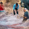 ​У Португалії знайшли кістки найбільшого динозавра Європи
