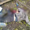​Атака армії рф на цивільне населення забрала ще три життя на Донеччині – розпочато розслідування 