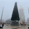 У Києві встановлять новорічну ялинку, без святкової ілюмінації та за кошти меценатів У Києві встановлять новорічну ялинку, без святкової ілюмінації та за кошти меценатів