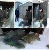 ​З початку року знищено 1 148 заборонених знарядь лову, - Чернігівський рибоохоронний патруль