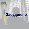 Інформаційне агентство : На Київщині за домашнє насильство стосовно матері, чоловіка засуджено до 2 років ув’язнення