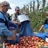 ​  			Польща змінює закони для заробітчан		