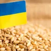 Угорщина попросила Європейський Союз продовжити обмеження на імпорт українських зернових і олійних культур до кінця 2023 року