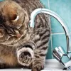 ​80% мешканців Києва залишаються без водопостачання через ранкові обстріли