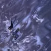 ​Німецькі "Гепарди" ефективно захищають небо Києва від ракет і БПЛА, – Наєв