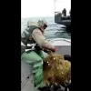 ​Азовським рибоохоронним патрулем врятовано від браконьєрських сіток 469 особин калкана