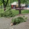 ​Кличко показав кадри наслідків падіння уламків у київському зоопарку