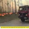 ​Європу охопили масштабні лісові пожежі