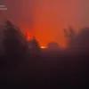 ​Вчора, 17 травня, у Вишгородському районі Київщини сталася пожежа