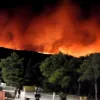 ​Через аномальну спеку лісові пожежі охопили десятки тисяч гектарів землі у Франції, Греції, Іспанії і Португалії
