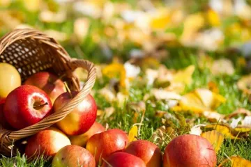 ​Україна відзначає традиційний Яблучний Спас