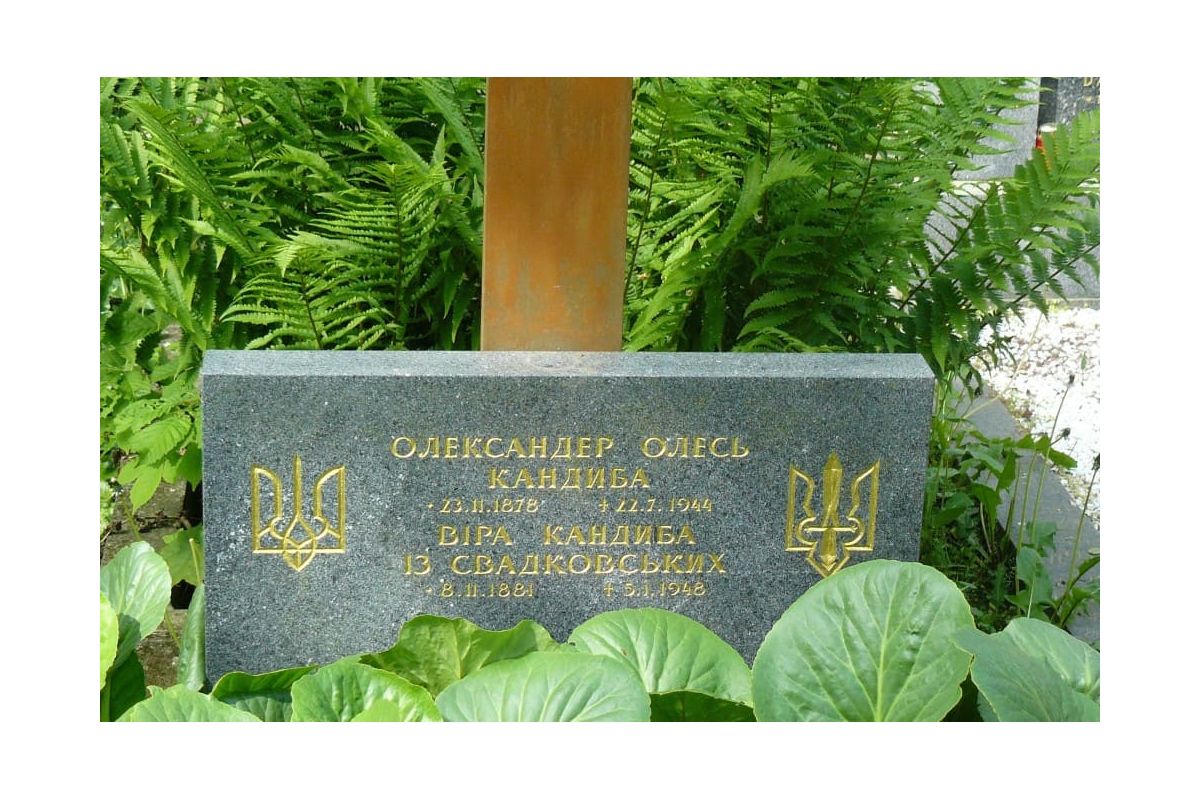 Олександра Олеся перепоховають на батьківщині Олександра Олеся перепоховають на батьківщині