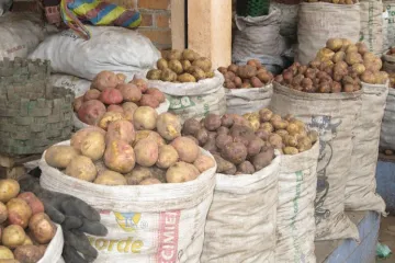 ​Крим бойкотує українську картоплю