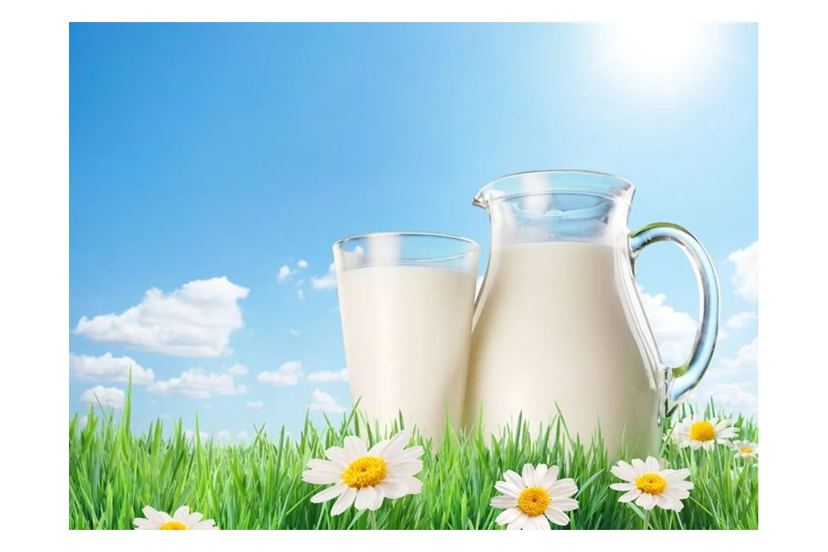 Молочне та м’ясне виробництво України скоротило свої обсяги