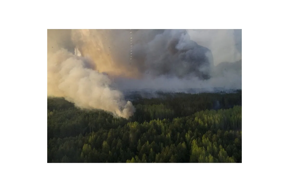 На Чорнобилі горять ліси