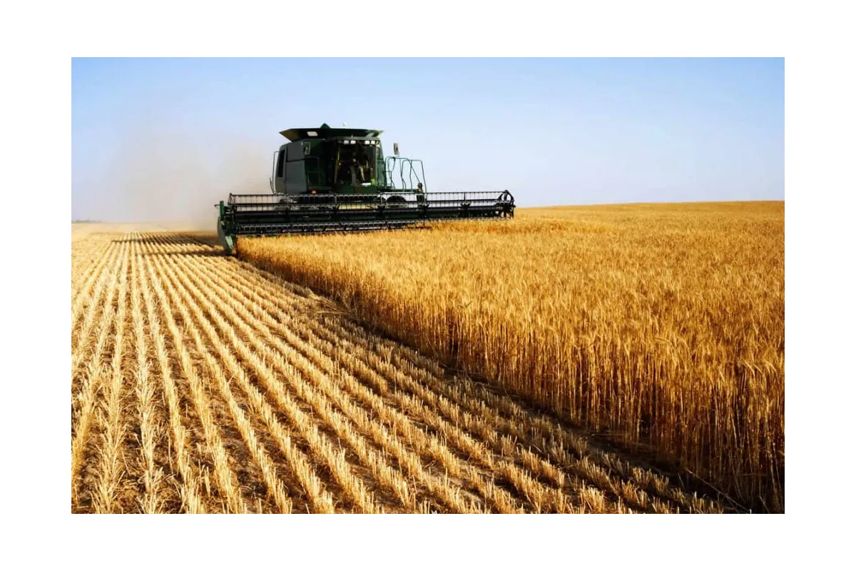 Українська агропромисловість може отримувати мільярди євро економічного прибутку