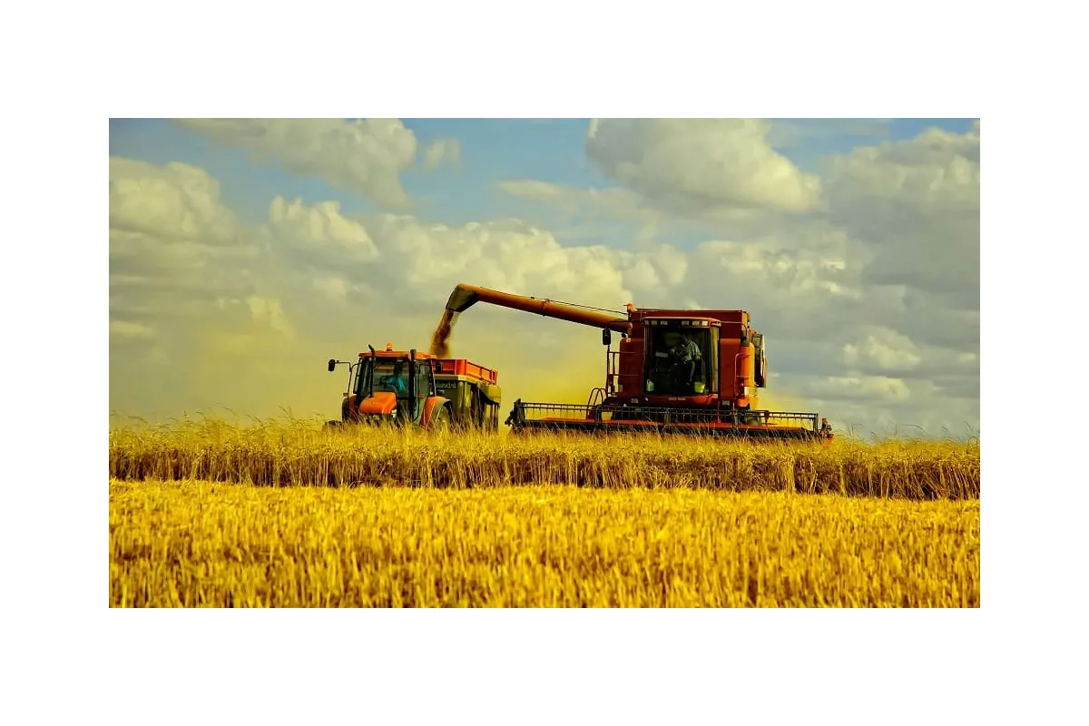 В Україні вже зібрали близько 63 млн. тонн зернових