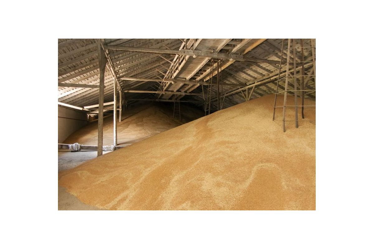 Експорт сільгосппродукції України за квартал цього року становить $ 1 млрд. Експорт сільгосппродукції України за квартал цього року становить $ 1 млрд.