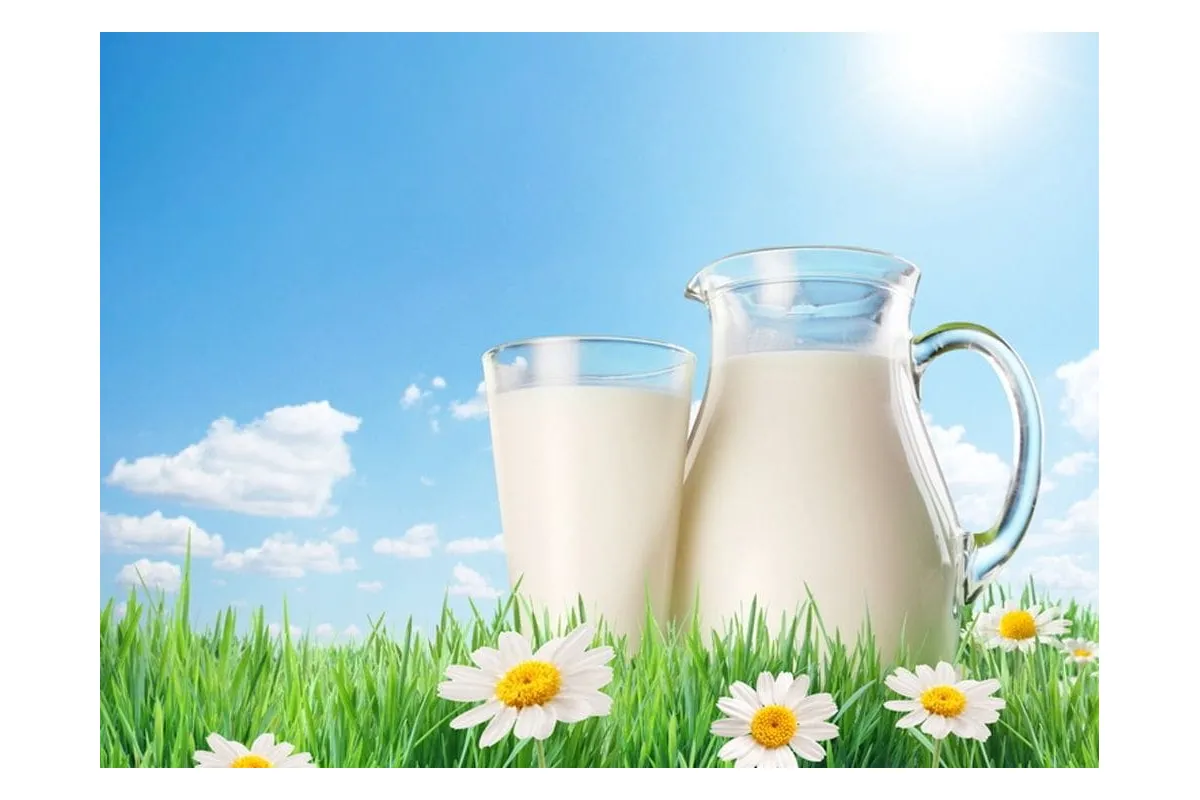 Молоко в Україні не дорожчатиме