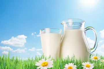 ​Молоко в Україні не дорожчатиме