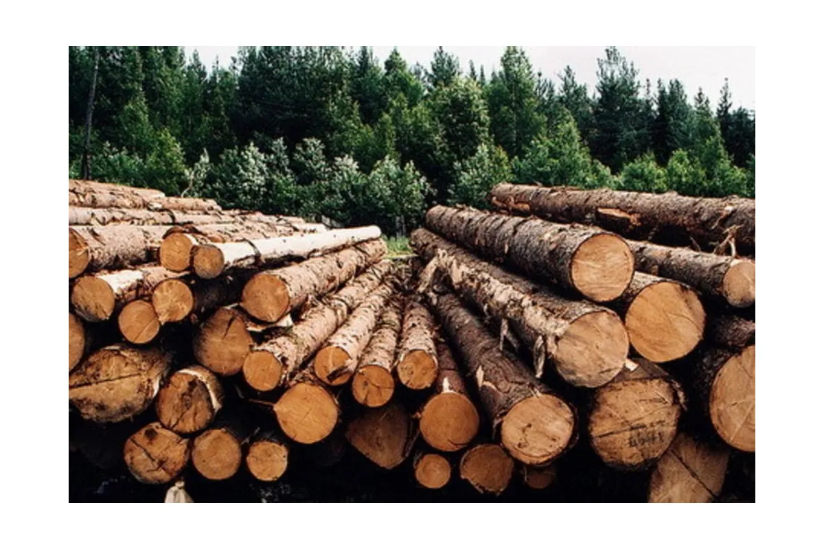 Деревообробники України готують страйк