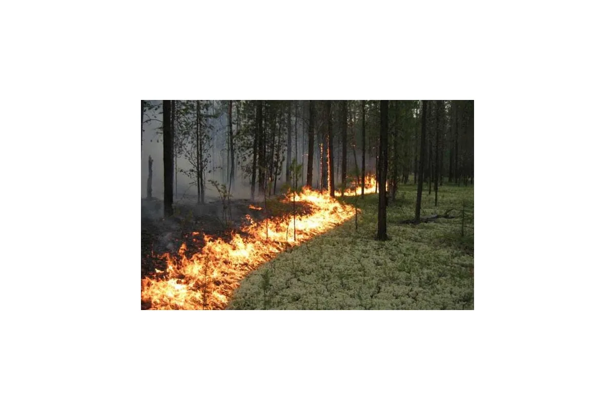 Україні загрожує пожежна небезпека